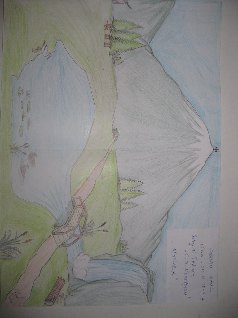 96_Ciocan Raul_CT Nenitescu BM.JPG